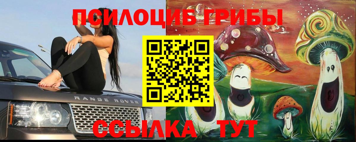 Псилоцибиновые грибы Magic Shrooms Качканар