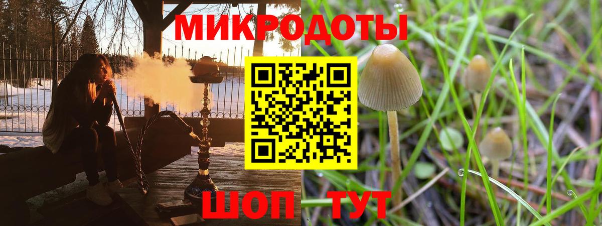 дарнет шоп  Галлюциногенные грибы Psilocybe  Вход с VPN  Качканар 